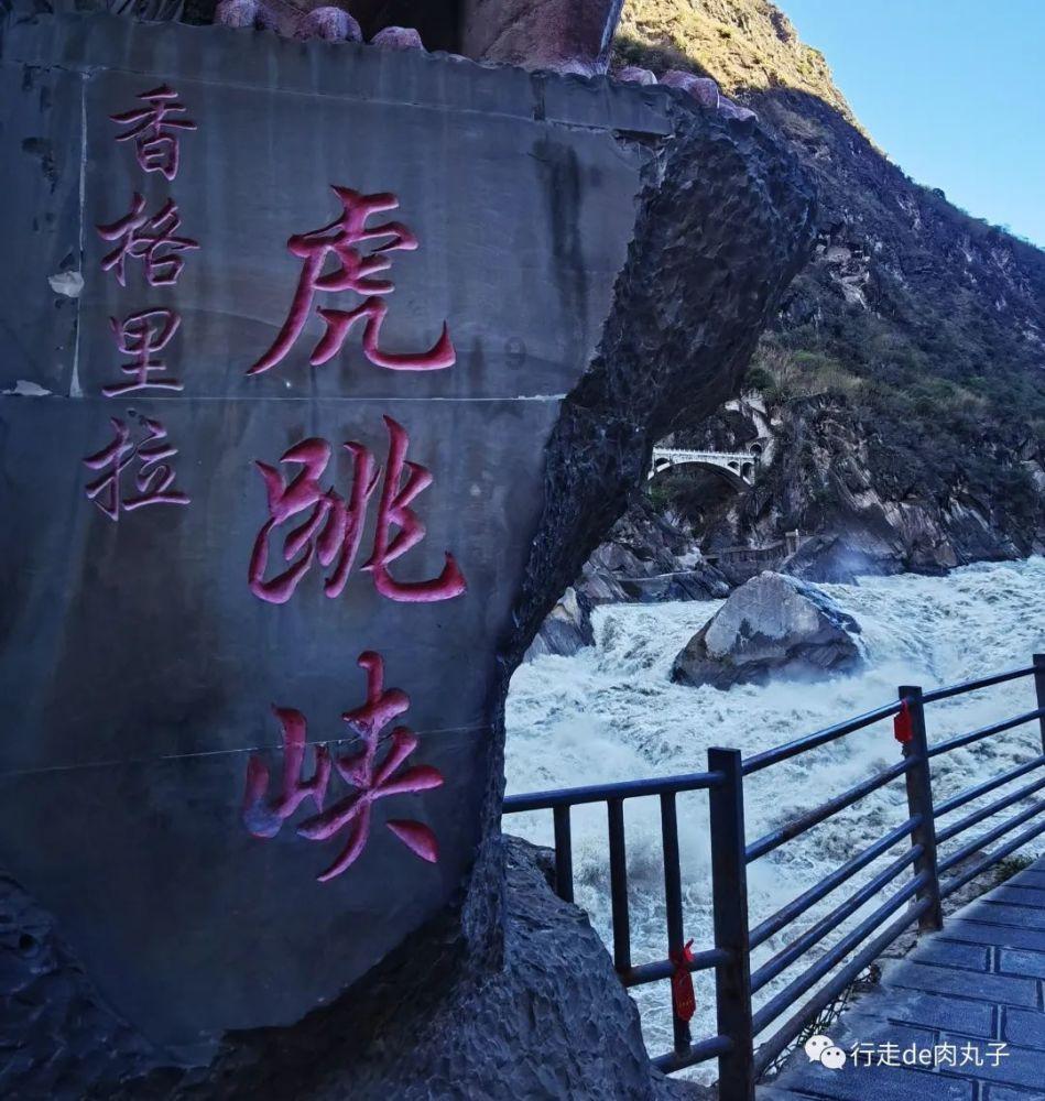 “柚”见真情 中国银行平湖支行持续开展助农活动