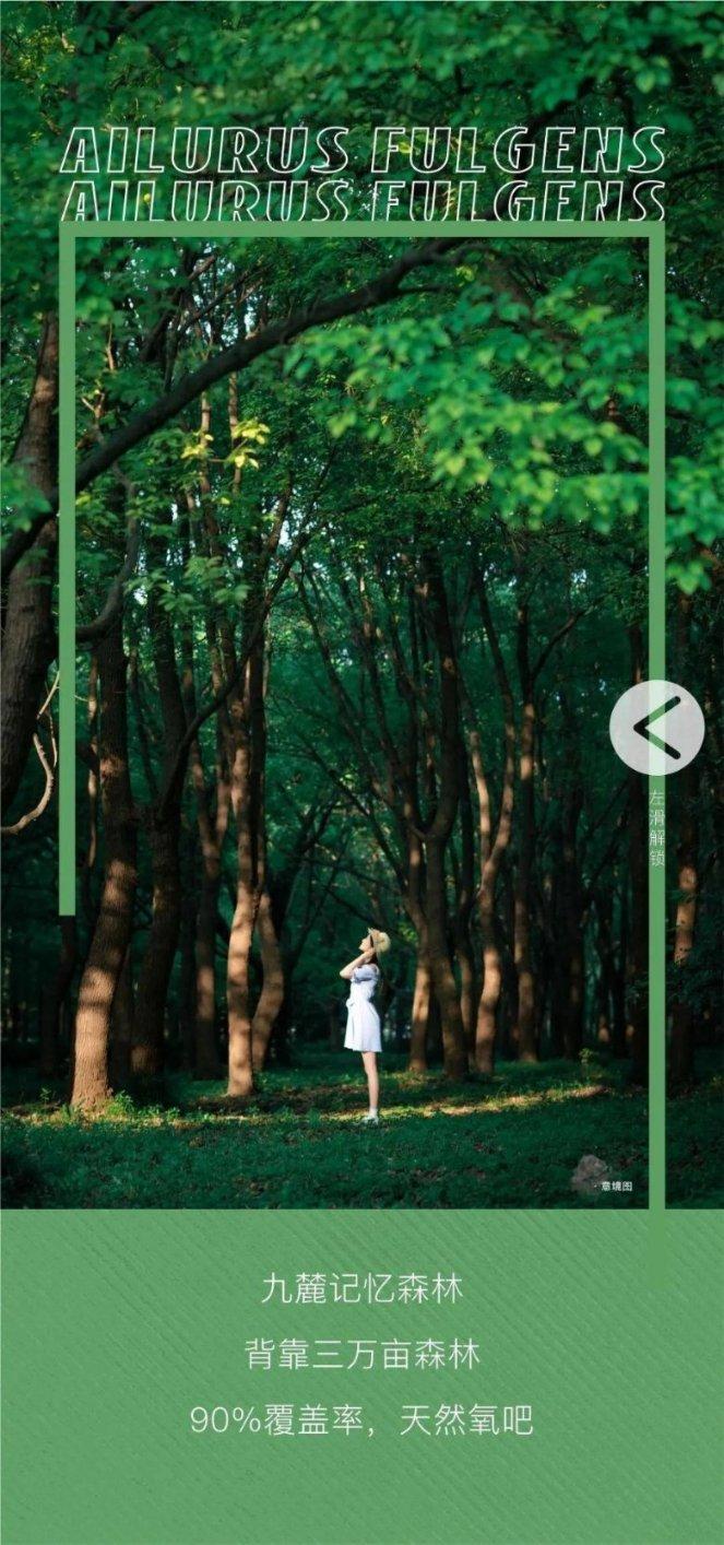《长风破浪》揭秘：魏若来的原型竟是他？魏若来和叶秘又是什么关系？